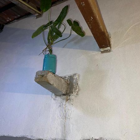 Cactus Arugambay Hostel Arugam Bay Εξωτερικό φωτογραφία