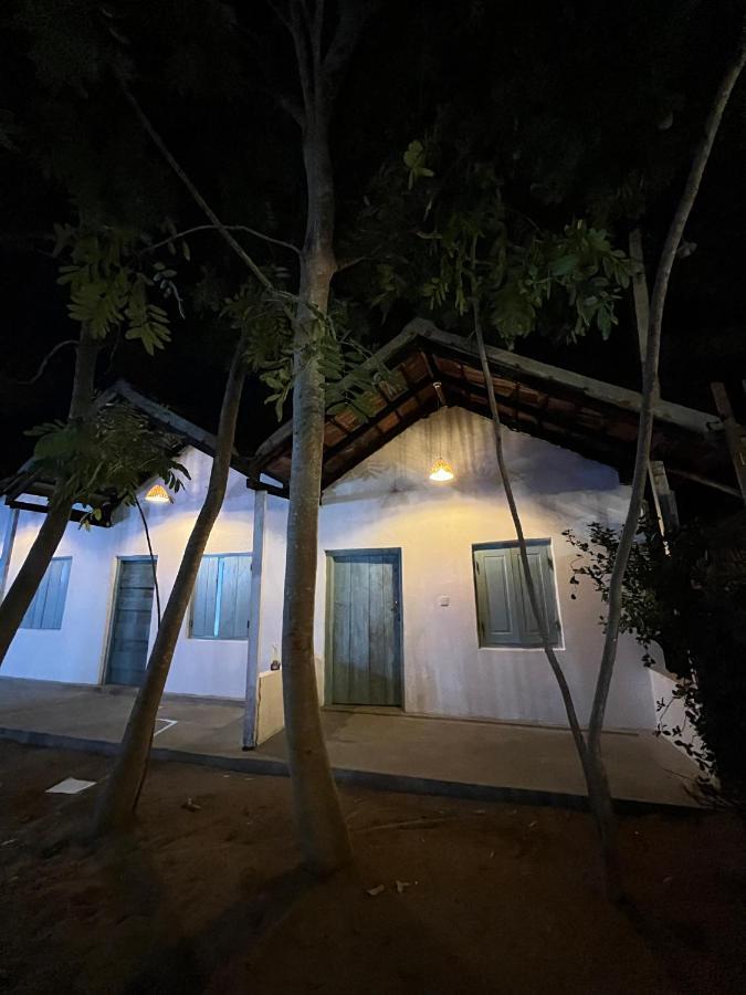 Cactus Arugambay Hostel Arugam Bay Εξωτερικό φωτογραφία