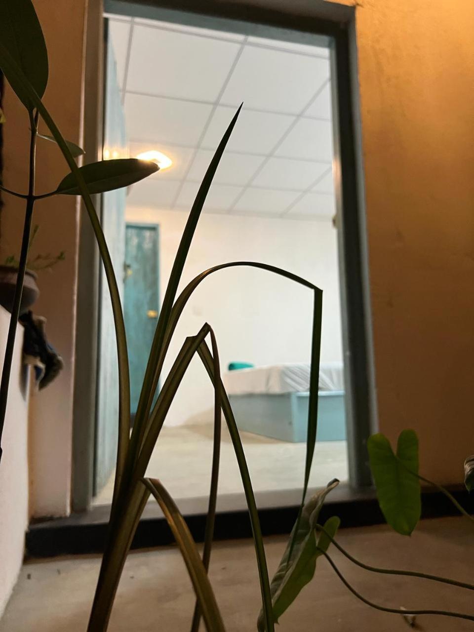 Cactus Arugambay Hostel Arugam Bay Εξωτερικό φωτογραφία