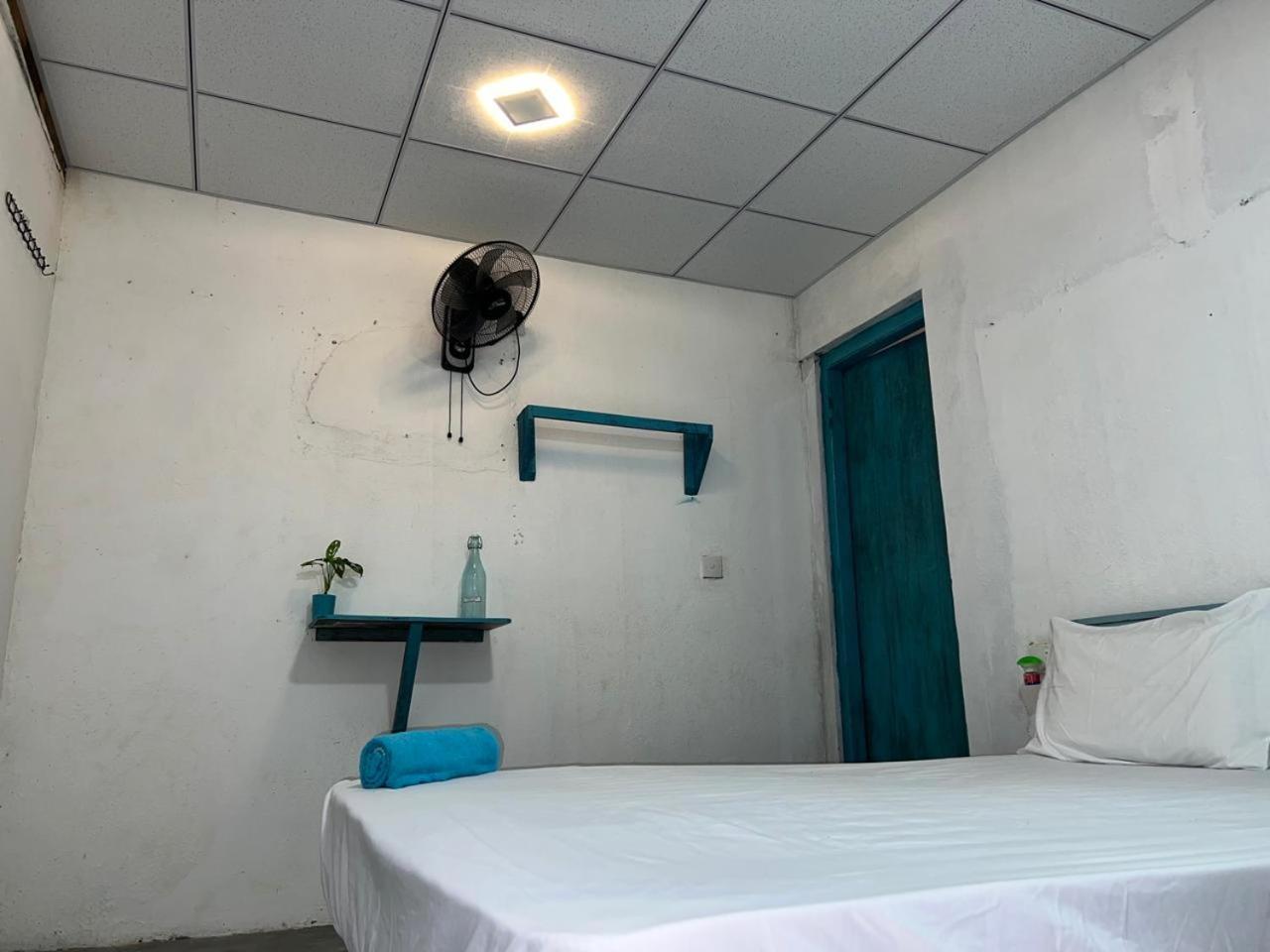 Cactus Arugambay Hostel Arugam Bay Εξωτερικό φωτογραφία