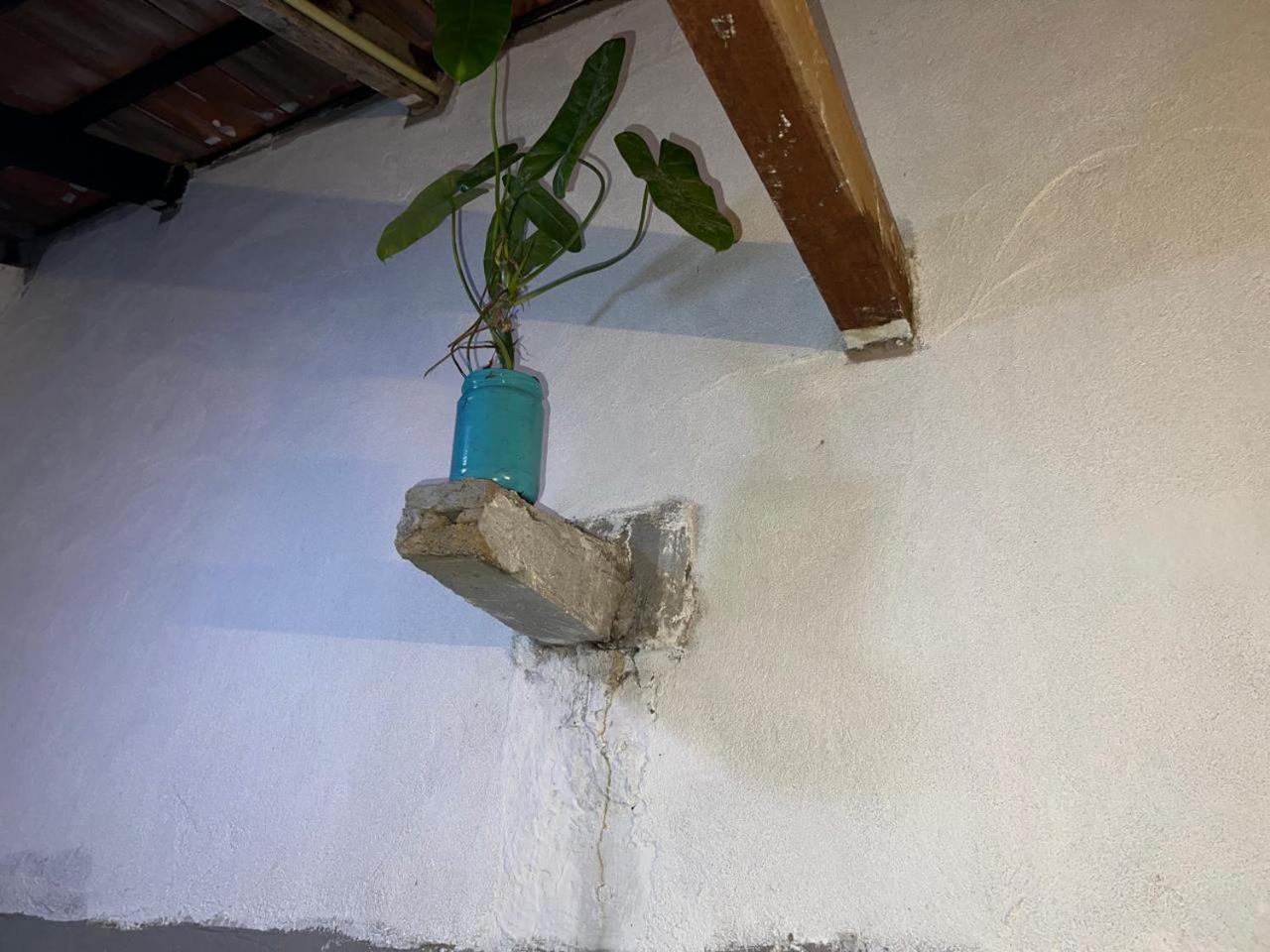 Cactus Arugambay Hostel Arugam Bay Εξωτερικό φωτογραφία