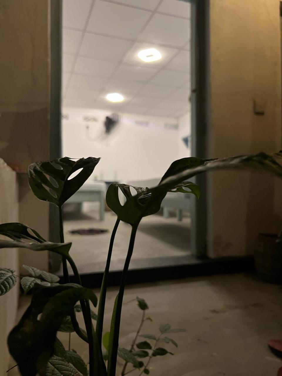 Cactus Arugambay Hostel Arugam Bay Εξωτερικό φωτογραφία