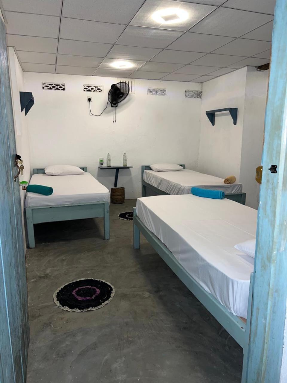 Cactus Arugambay Hostel Arugam Bay Εξωτερικό φωτογραφία