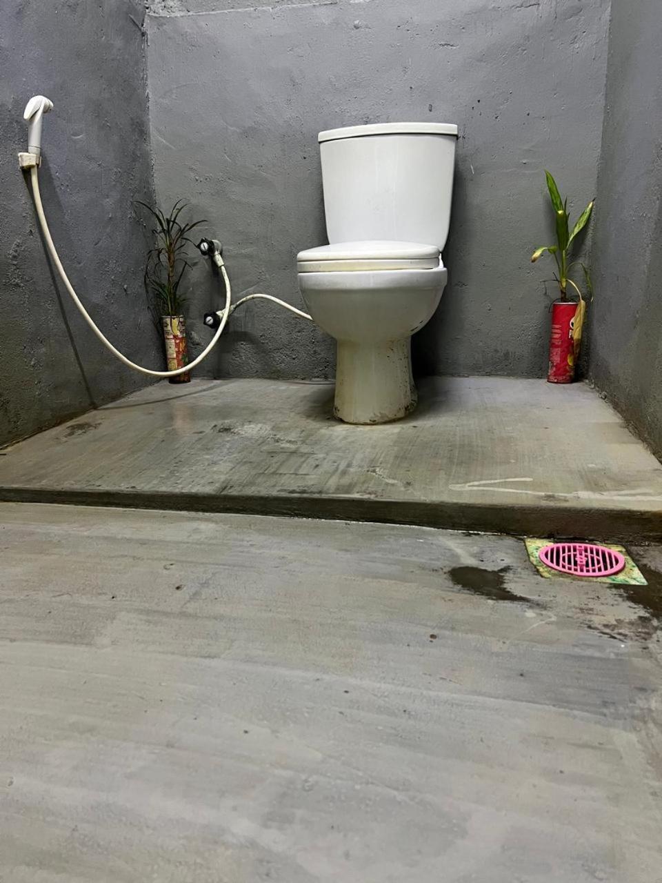 Cactus Arugambay Hostel Arugam Bay Εξωτερικό φωτογραφία