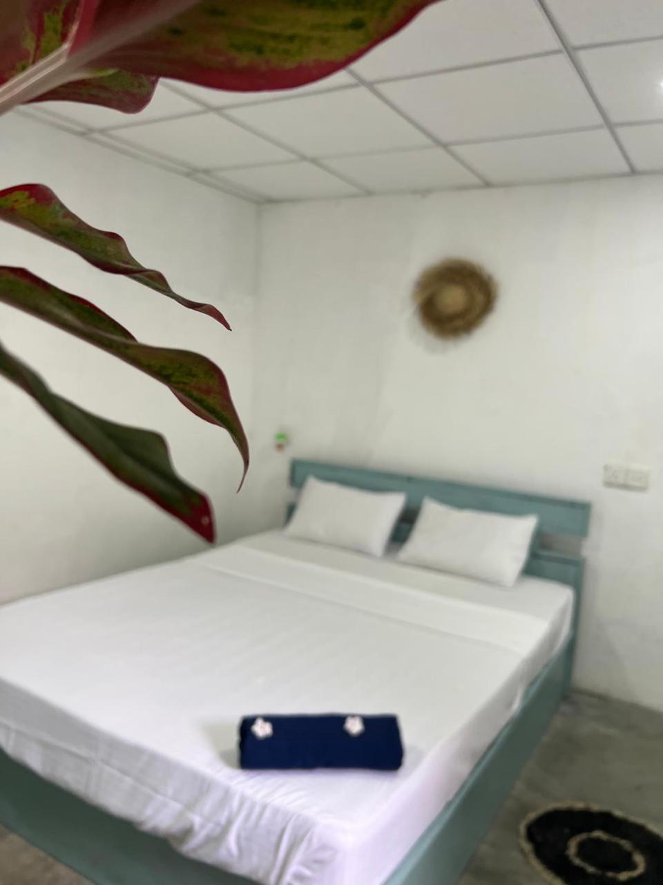 Cactus Arugambay Hostel Arugam Bay Εξωτερικό φωτογραφία