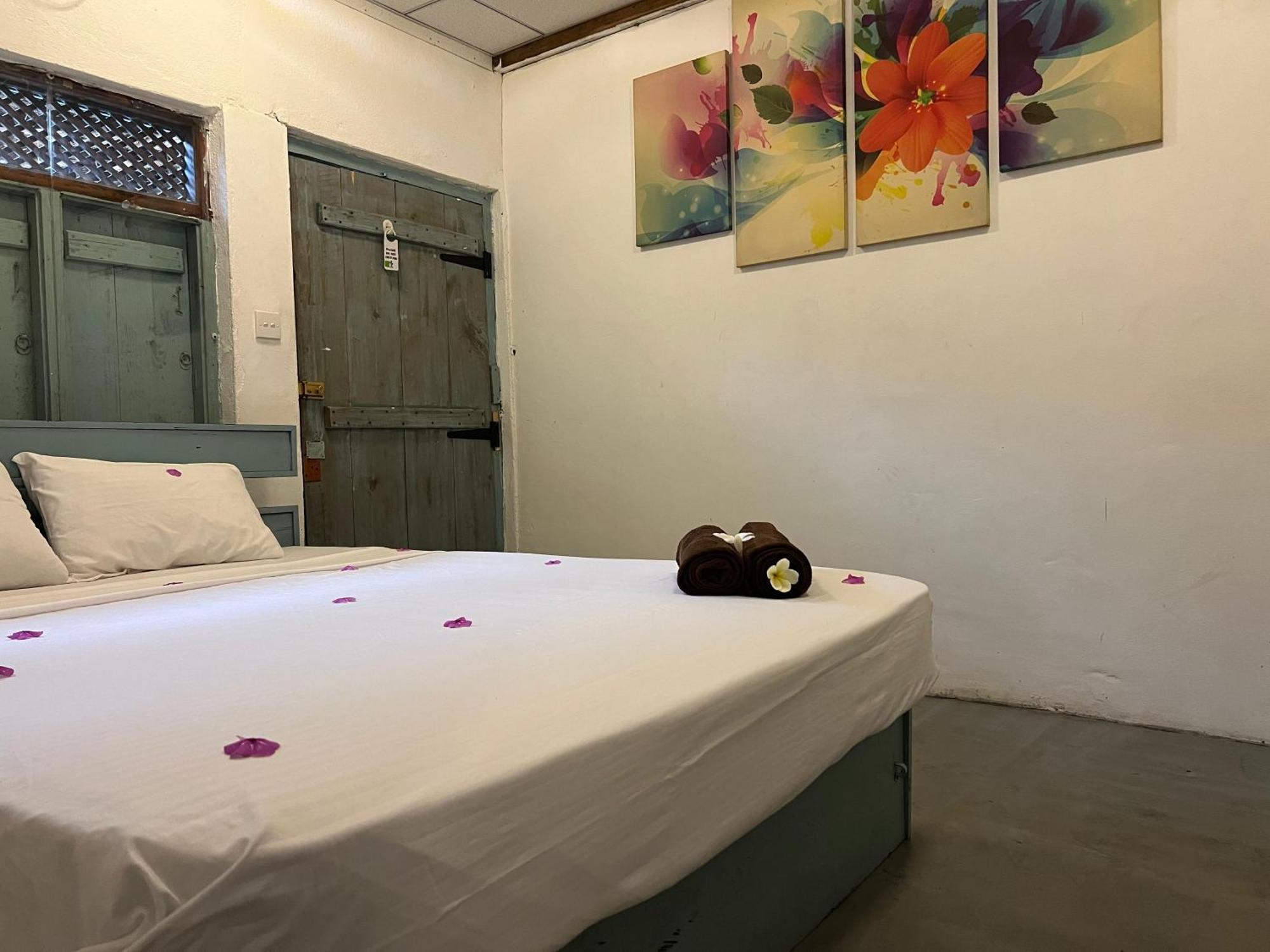 Cactus Arugambay Hostel Arugam Bay Εξωτερικό φωτογραφία