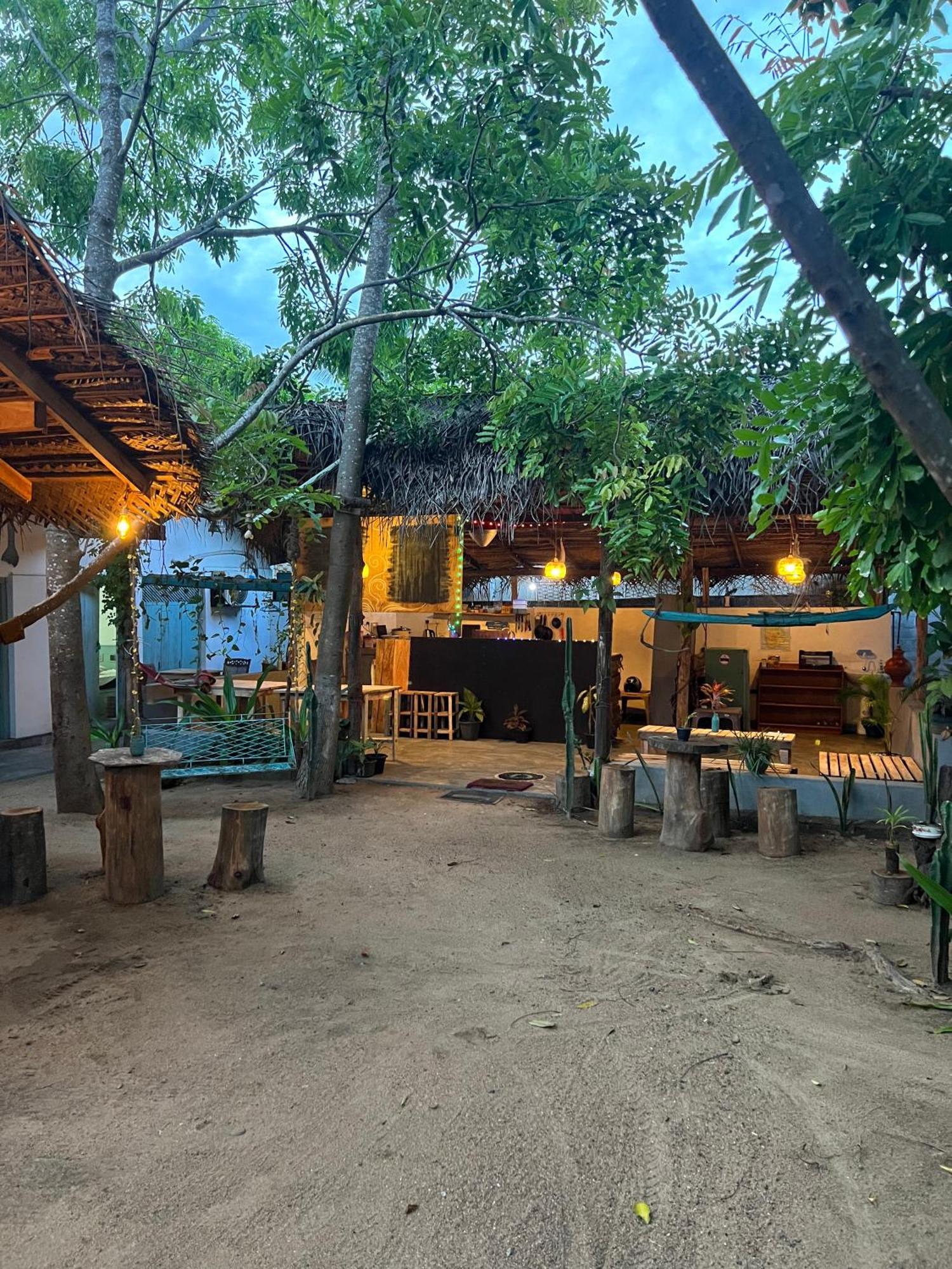 Cactus Arugambay Hostel Arugam Bay Εξωτερικό φωτογραφία