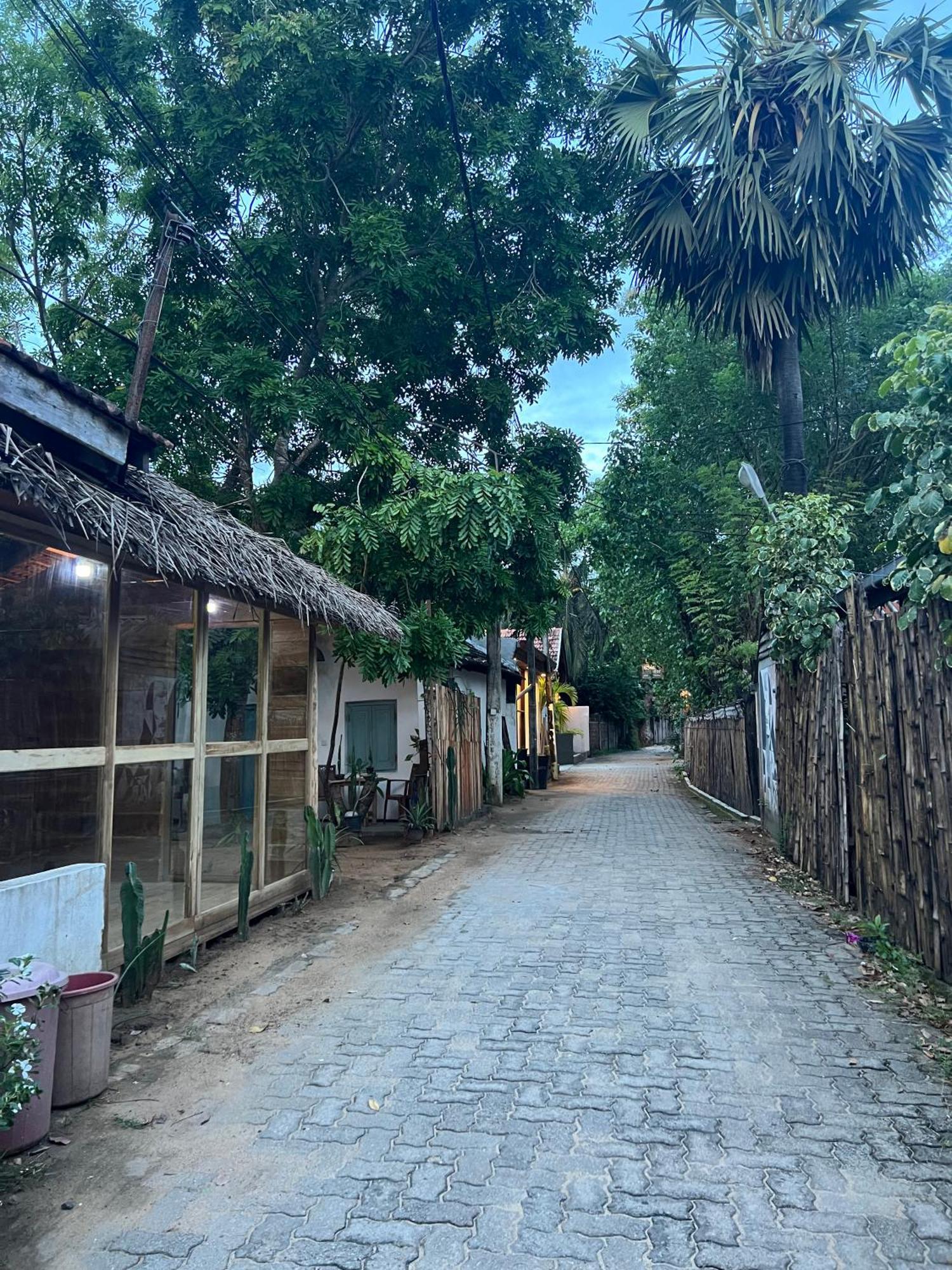 Cactus Arugambay Hostel Arugam Bay Εξωτερικό φωτογραφία