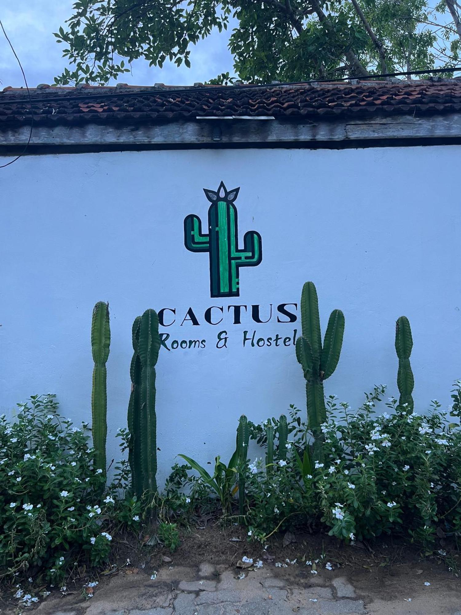 Cactus Arugambay Hostel Arugam Bay Εξωτερικό φωτογραφία