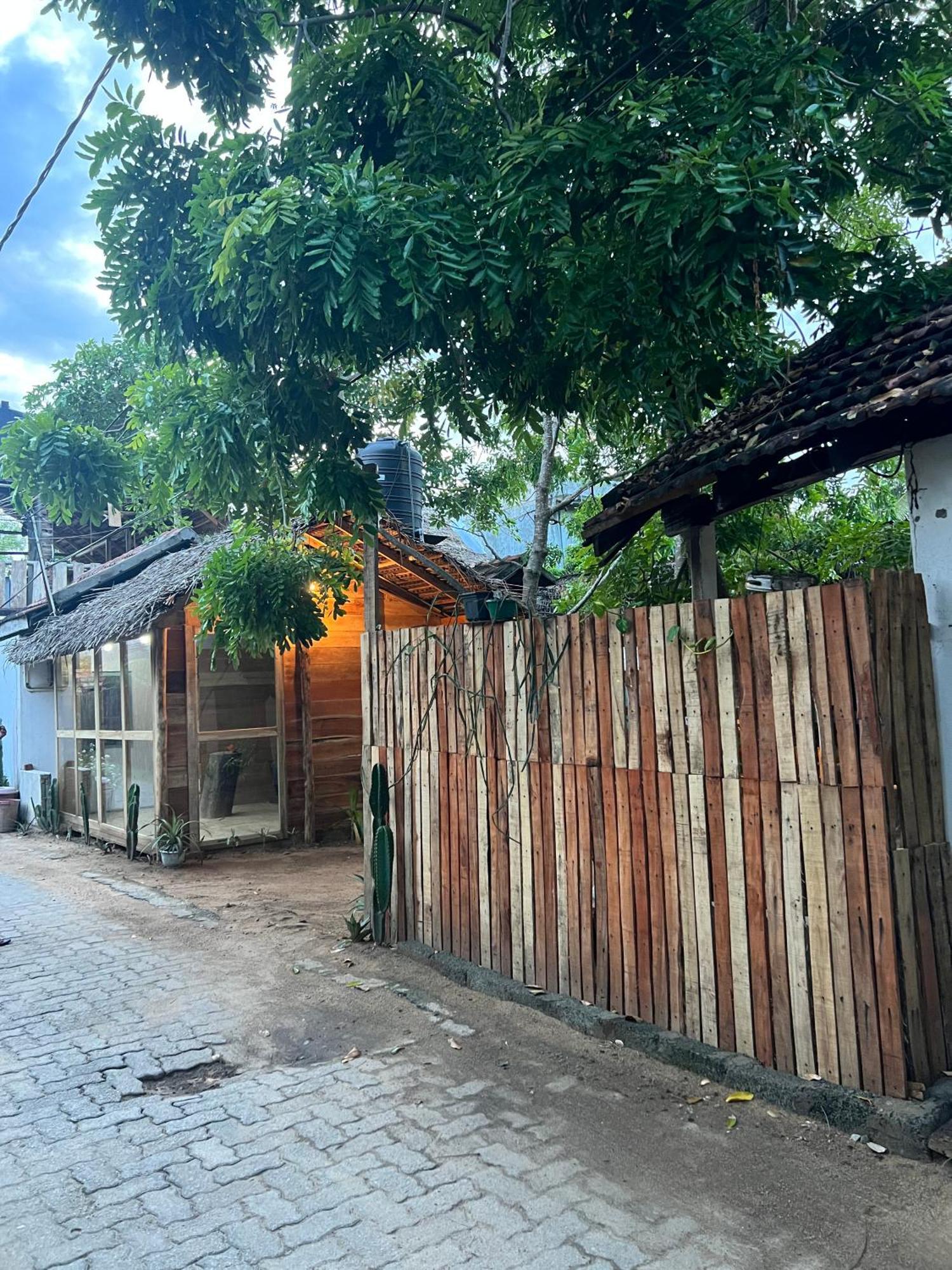 Cactus Arugambay Hostel Arugam Bay Εξωτερικό φωτογραφία