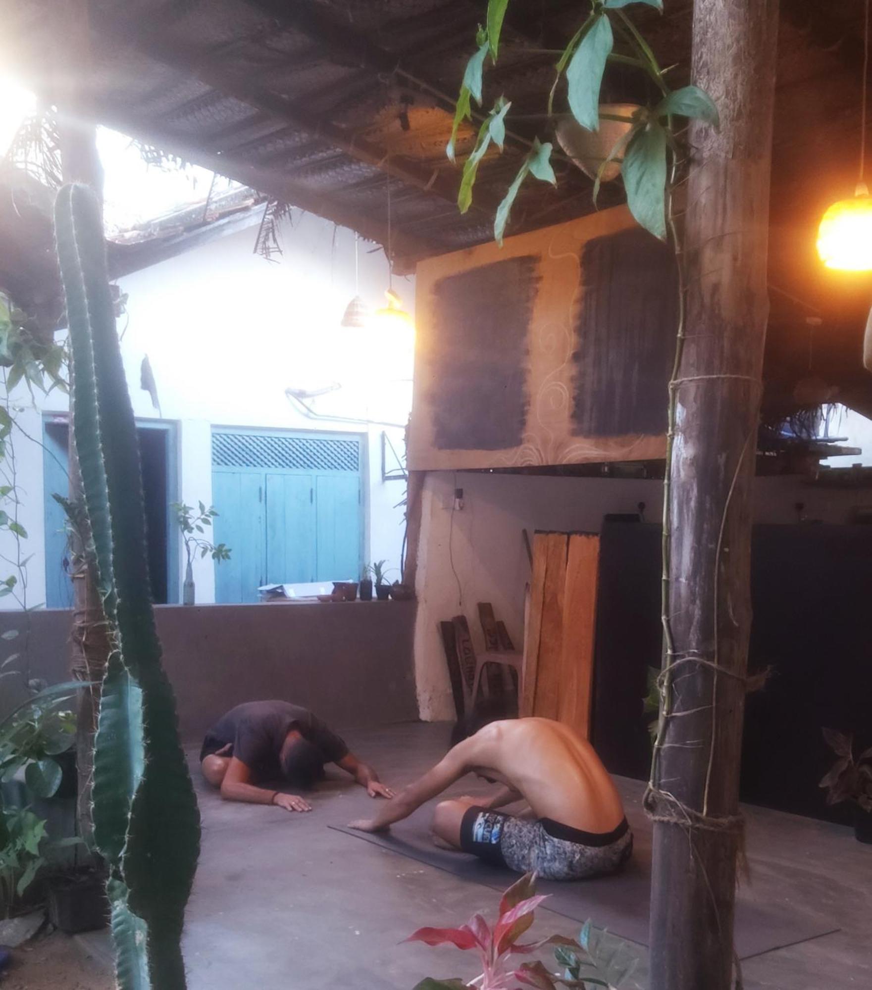Cactus Arugambay Hostel Arugam Bay Εξωτερικό φωτογραφία